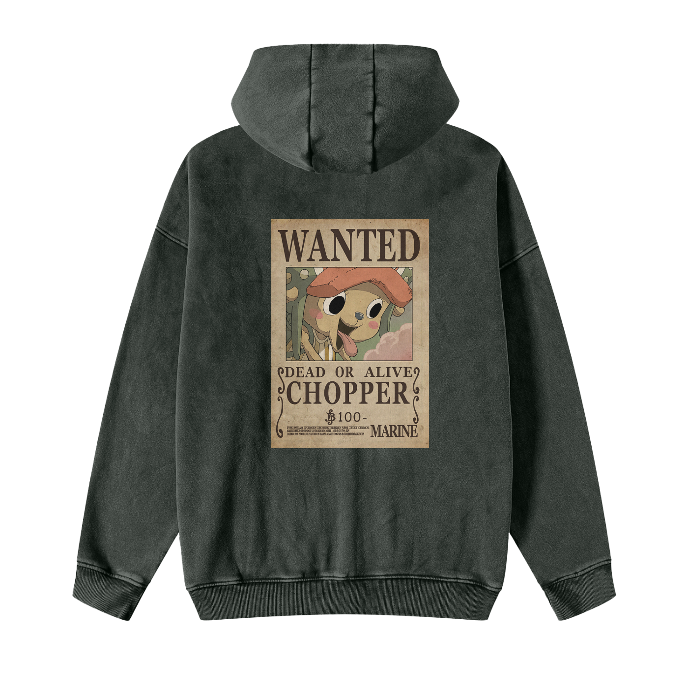Snow Washed Zip-Through Fleece Hoodie